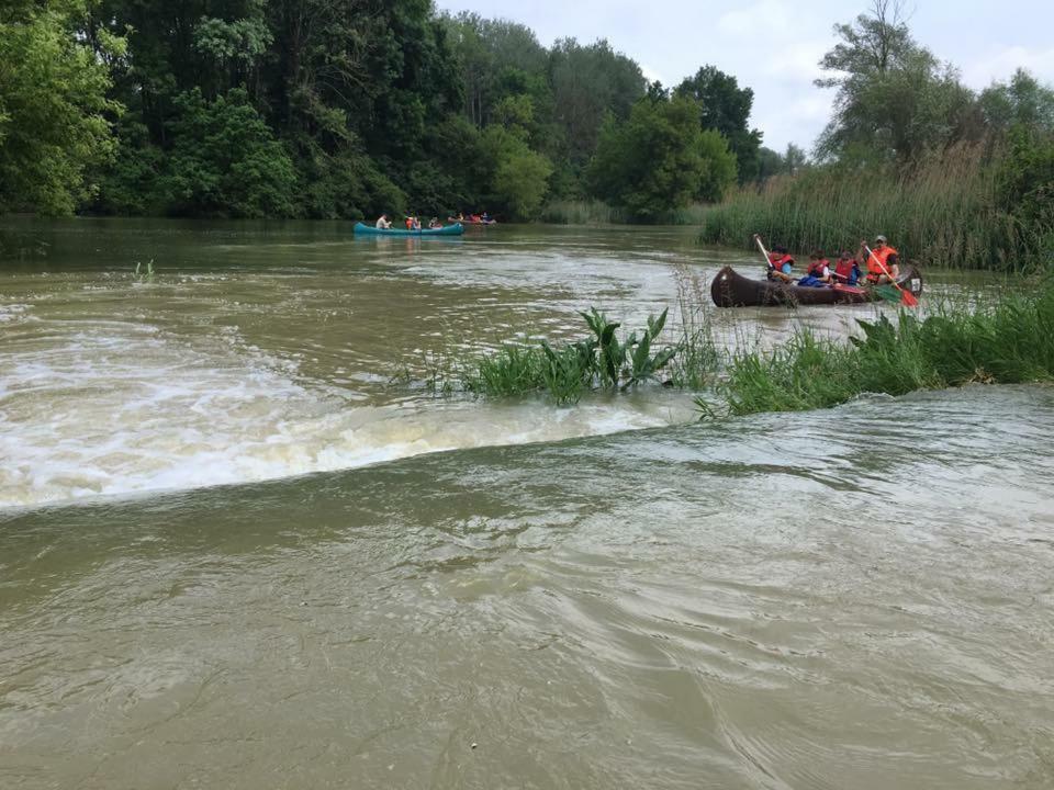 Donaupark Camping Tulln Hotel Tulln An Der Donau Eksteriør billede